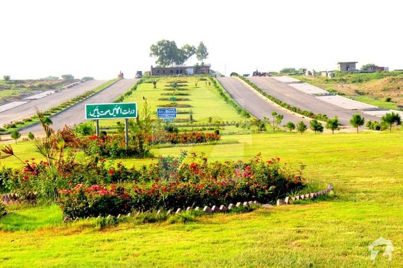 Plot For Sale Block H Reasonable Price Plot For Sale Block H Reasonable Price