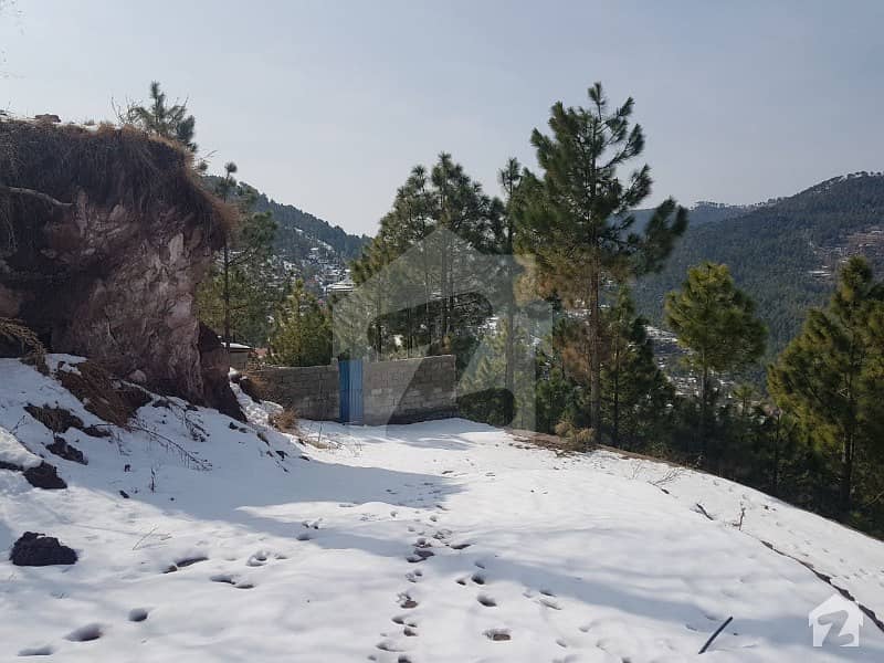 Voice Of Lal Real Estate Offer PH Residential Plot Is Available For