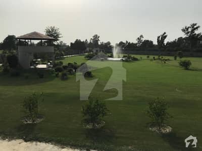 10 Acre Farm House Is Available For Rent 10 Acre Farm House Is Available For Rent