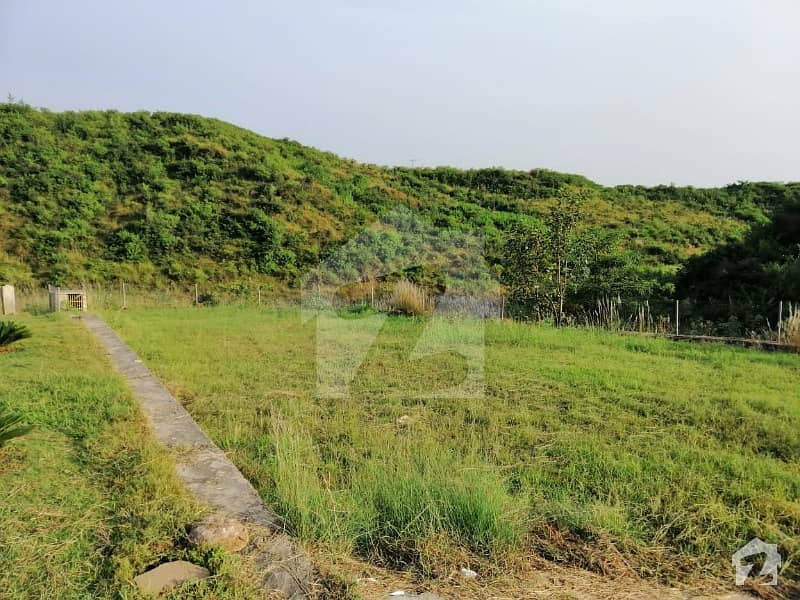 5 Kanal Farm Plot Prime Location In Sector C