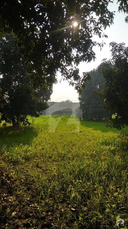 9 acre agriculture land for sale jhang road, muzaffargarh