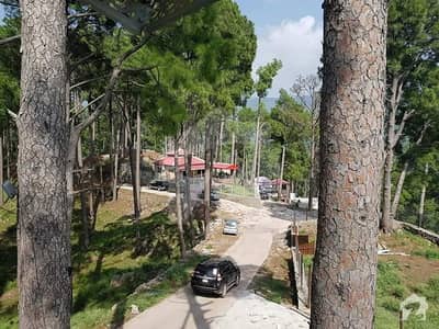 10 Marla Plot For Sale In Murree 10 Marla Plot For Sale In Murree