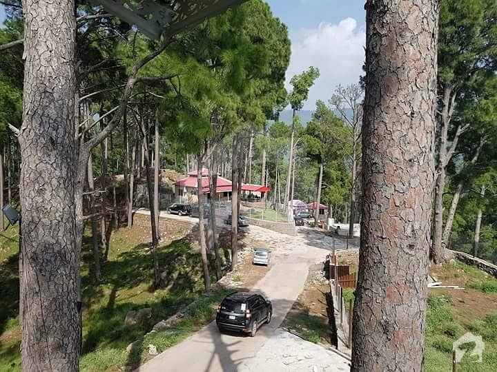 10 Marla Plot For Sale In Murree