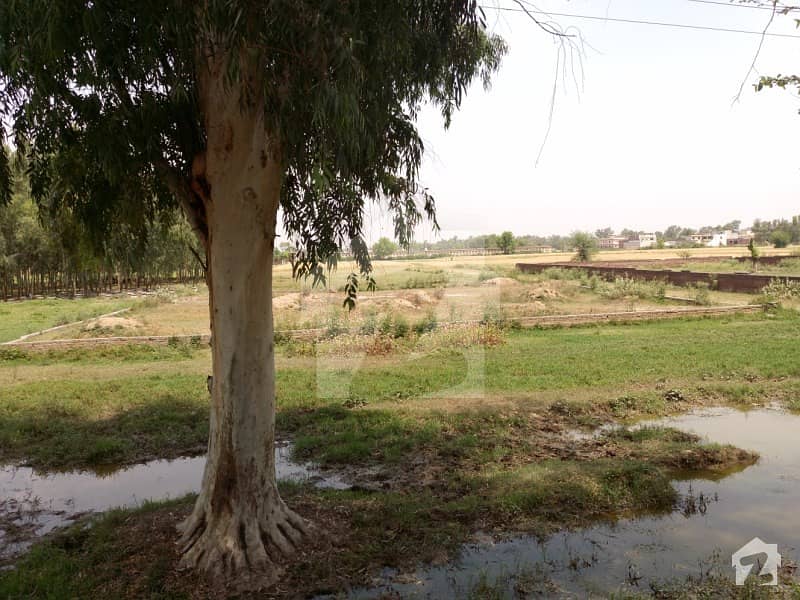 5 Marla Plot For Sale In Dha Gujranwala