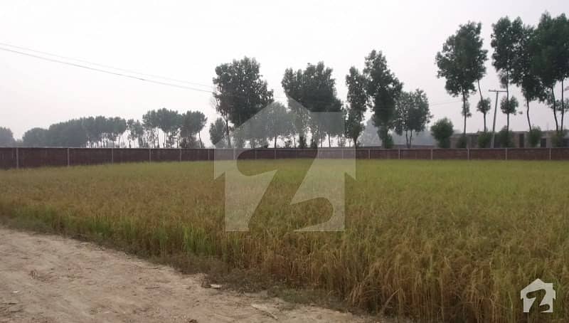 1 Acre Farm House Plot With Cheap Price 1 Km From Main Bedian Road