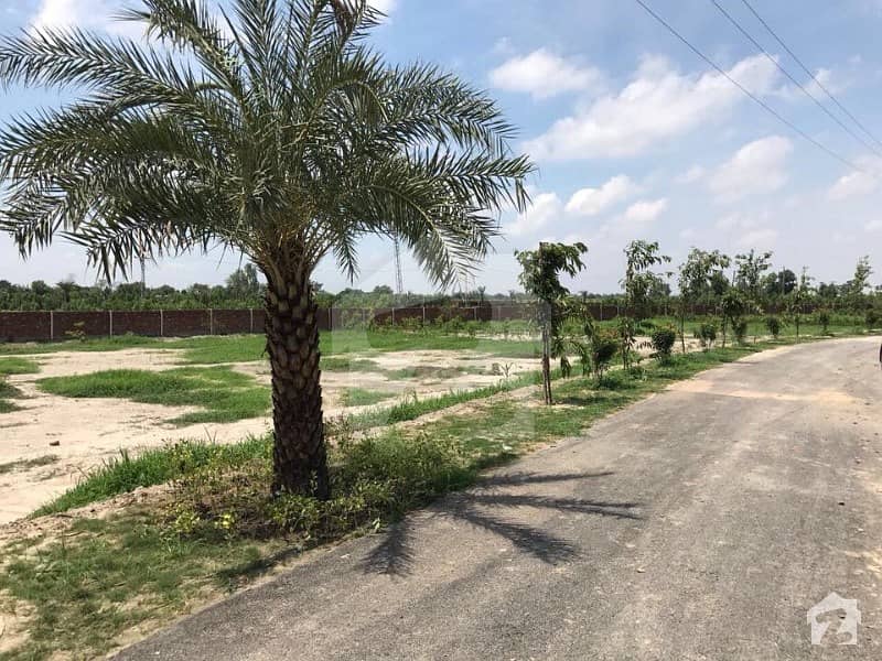 Cheap Agriculture Lands For Sale At Barki Road 12 Lac 50 Thousand Per Kanal