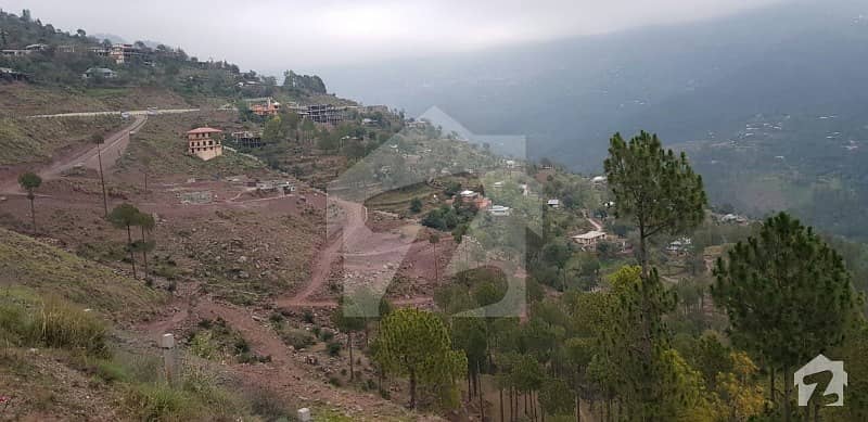 5 Marla Plot In A Gated Society Of Murree