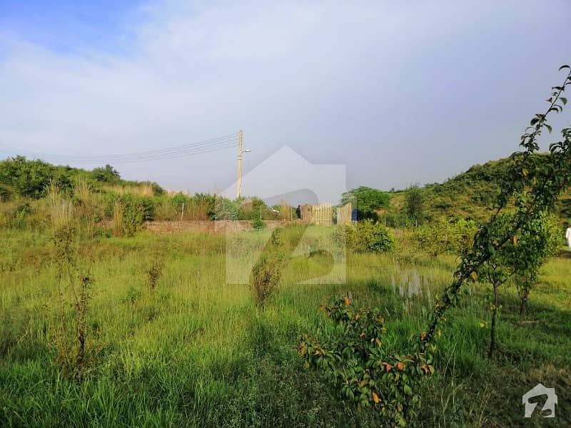 20 Kanal Farm House Plot At Prime Location In Sector A