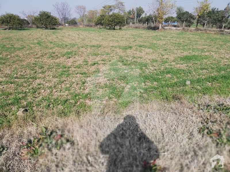 20 Kanal Farm House Land For Sale In Chak Shahzad Islamabad