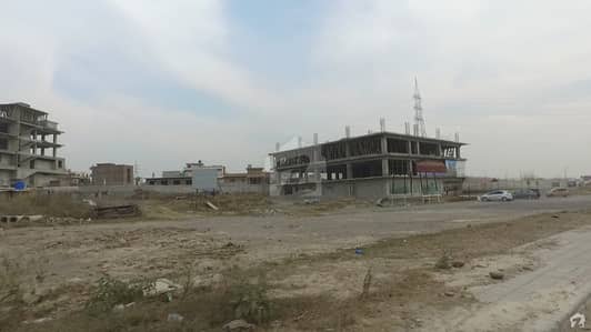 Plot For Sale In Street No 239 Plot For Sale In Street No 239