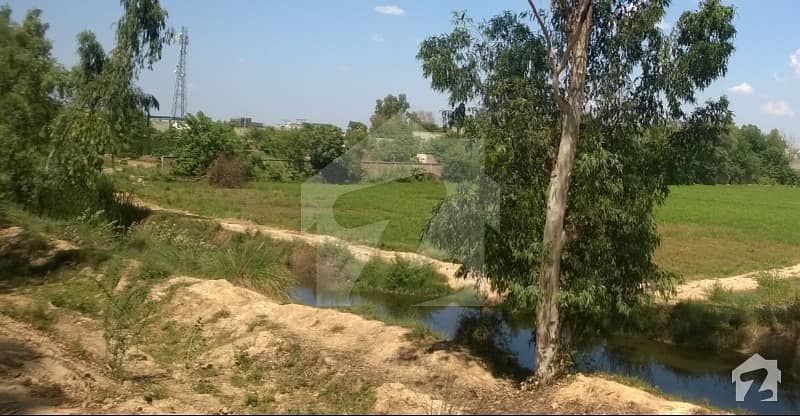 VIP Agricultural Land For Sale In Sargodha On Lahore Road