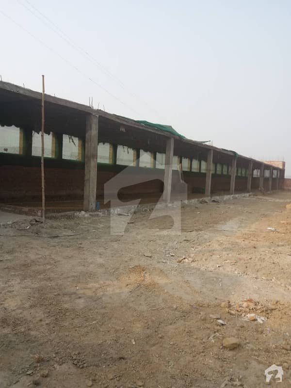 8 Kanal Beautiful Poultry Farm For Sale