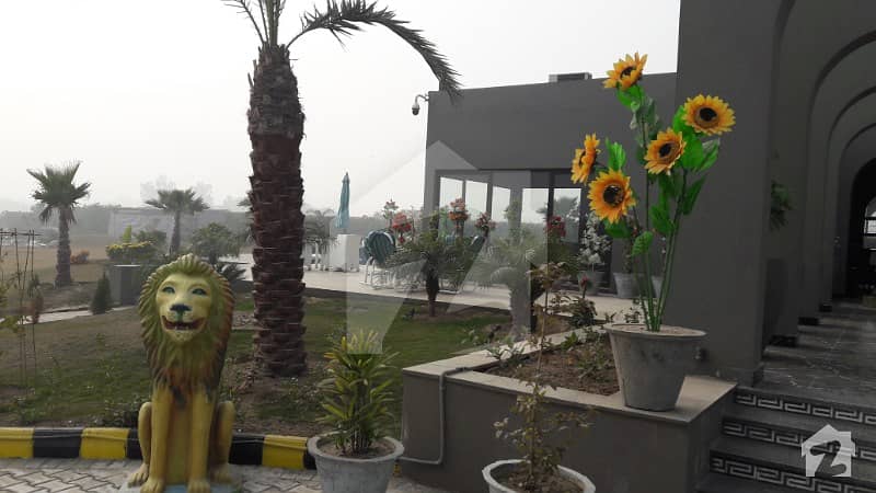 19. 5 Kanal Farm House For Sale In Raiwind Road Lahore