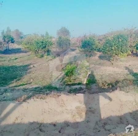 Land For Sale Nehar Two Road Main Concrete Road Canal Water House Inside Bagh Inside