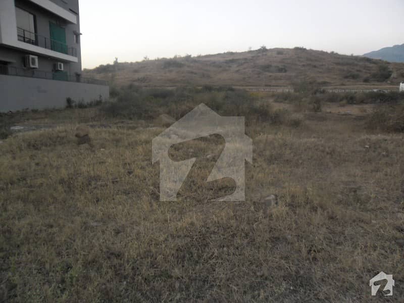 Amazing 50x90 Plot Available For Urgent Sale In D12