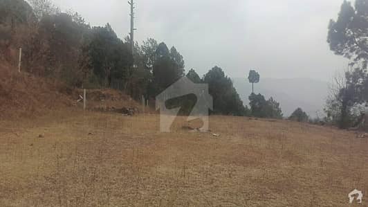 Commercial Plot Available For Sale In Angoori Road Murree Commercial Plot Available For Sale In Angoori Road Murree
