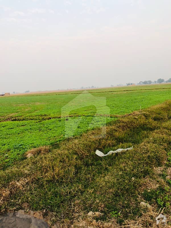 11. 3 Acre Agricultural Land 5 Kanal With Dairy Farm Kala Khatai Road