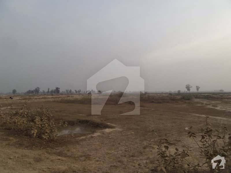 Near Park and Market F  Block   1  Kanal  Best  Location  Plot  Is  For Sale Best Investment