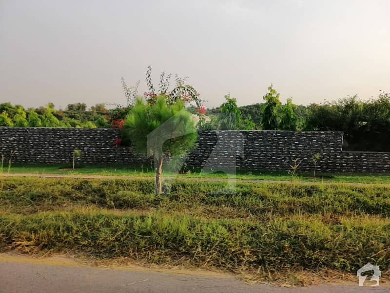 8 Kanal Farm House Plot Location With Height And Open Views Lush Green Area