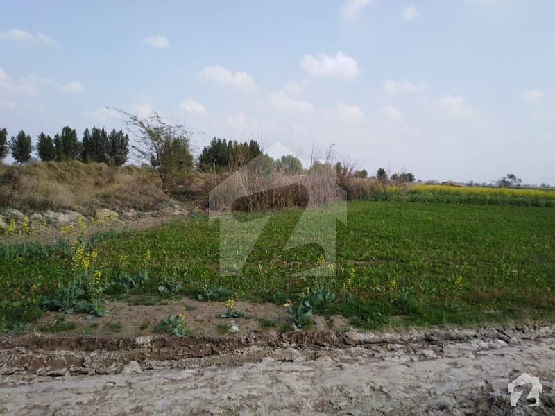 Agricultural Land Is Available For Sale Jaranwala Road, Faisalabad