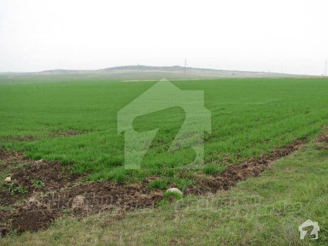 25 Acer Agriculture Land For Dairy Farm And Farm House For Sale  Khurrianwala To Jarranwala Road