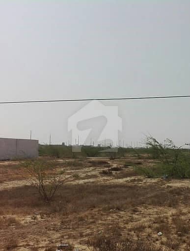 Surjani Town Corner Sector 13 84 Yds Plot For Sale