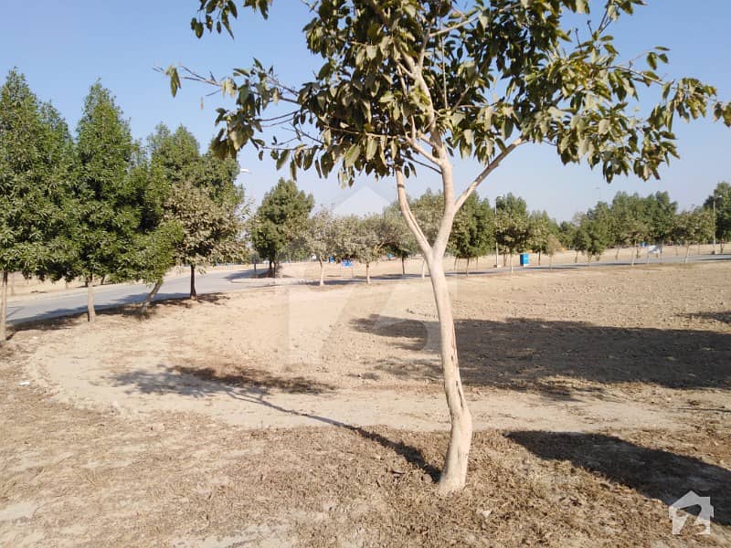 1200 Kanal Fully Fertile Agricultural Land At Multan Road Near Patoki