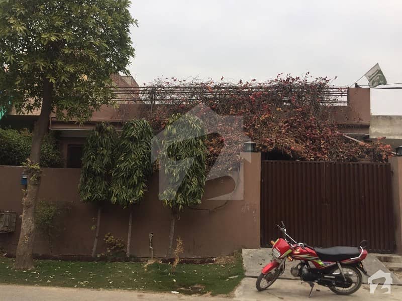 10 Marla Single Story House Available For Rent in DHA Phase 1