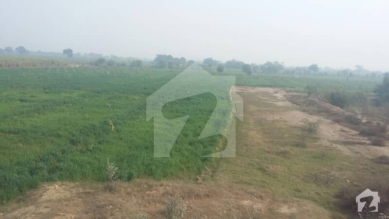 MARKs Offers 6 Muraba 150 Acre Agriculture Land For Sale in Okara Road