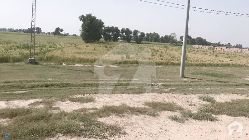 31 Acre Land For Sale In Hujra Shah Muqeem Chowk