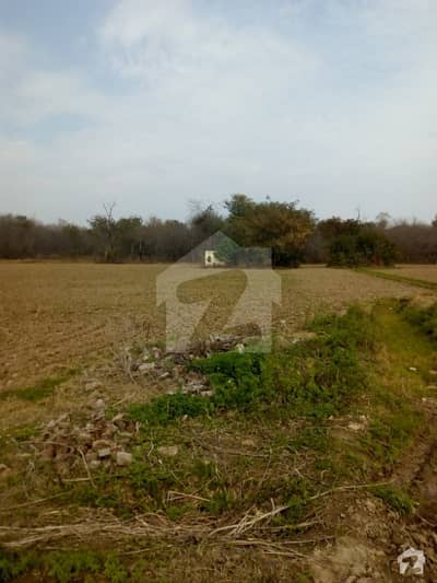 Agricultural Land Ideal Location River View