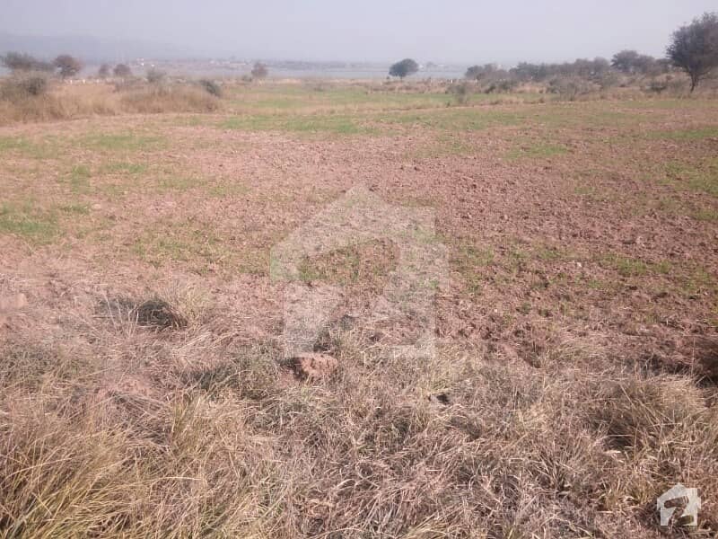 cheapest agriculture land for dairy and fish farm near neela dhullah motorway interchange link road