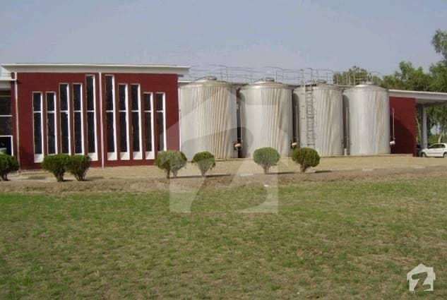 Dairy Processing Plant Factory Is For Sale