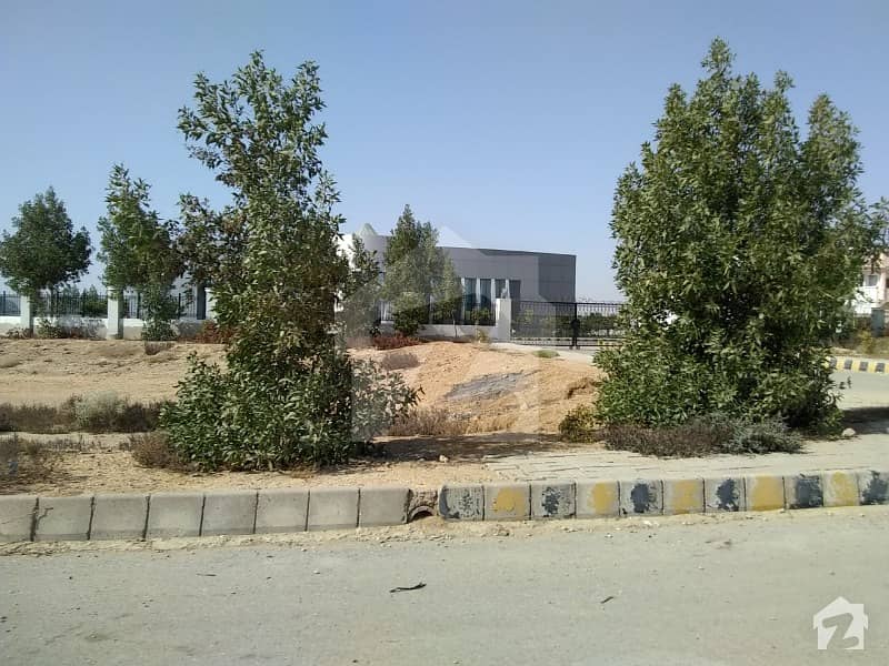 240 Sq Yard Residential Plot Plot For Sale