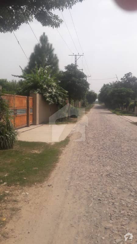 4 Kanal Farm House Attractive Location Reasonable Price From Market