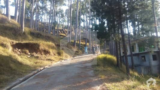 Residential For Sale In Murree Enclaves Patriata