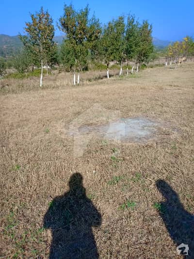 G-144 60x100 Plot For Sale Front Open Sun Face Extra Land G-144 60x100 Plot For Sale Front Open Sun Face Extra Land