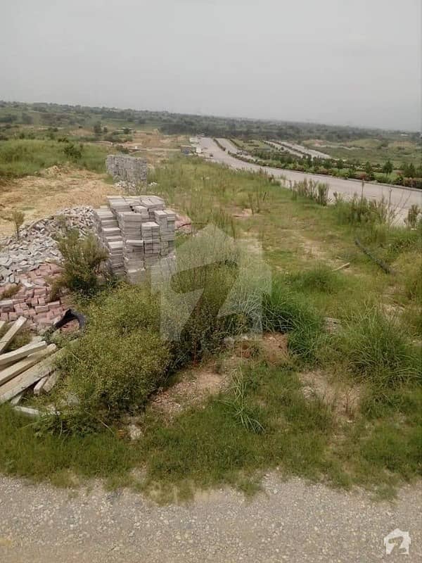 land Available for Sale 1025 kanal