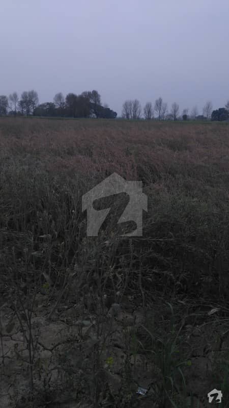8 Acre Agricultural Land For Sale At Johal Lahore Road