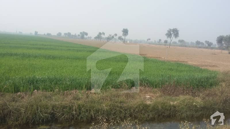 MARKS Offers 6 Muraba 150 Acre Agriculture Land For Sale in Okara Road