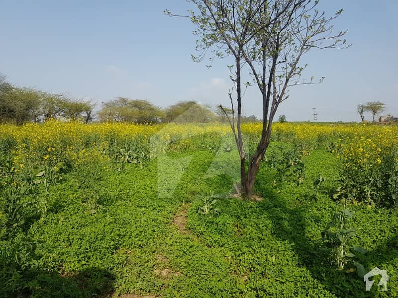 3 Acre Land Behind Defence Colony Kasur