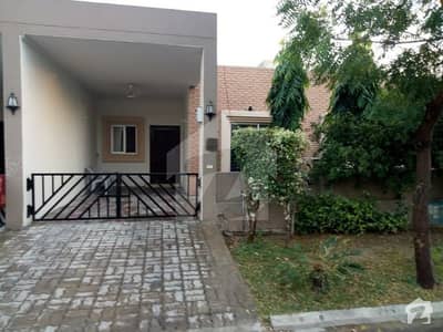 independent signal story house 4 RENT independent signal story house 4 RENT