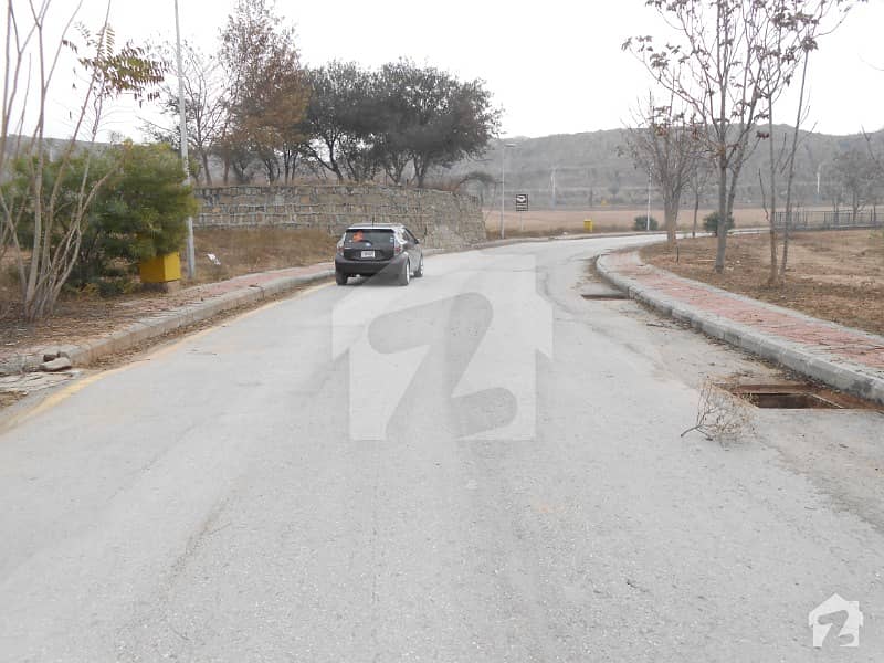 DHA Defence Phase 3 Sector A Serene City Old Garden City 24 Marla Plot Available For Sale