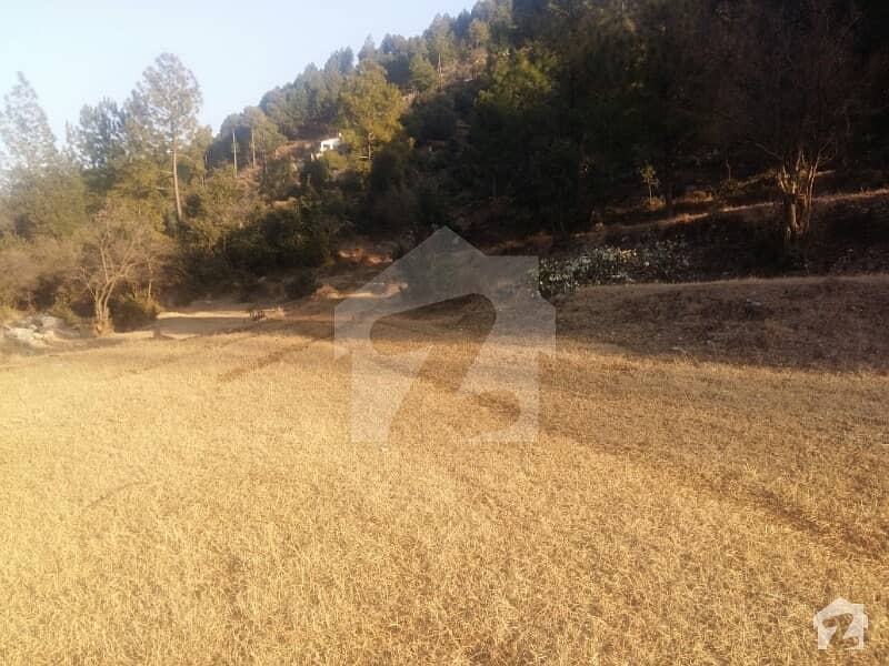 25 Kanal Land Near Country Highland