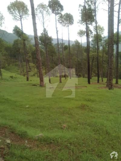 3 Kanal Farm House Land Is Available At Installments