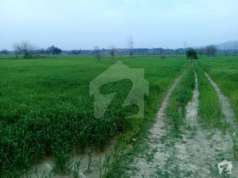 600 Kanal Agricultural Land For Sale In Mohza Sabaz Peer Hassan Abdal