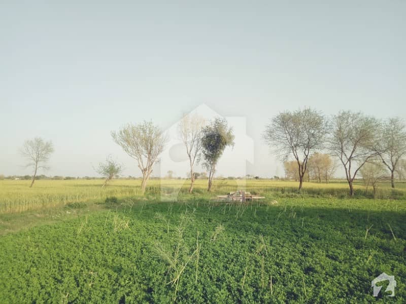70 Acres Agriculture Land Chack 447 Gojra Road Jhang
