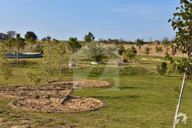 Best Time Investment Green City Islamabad Ideal Location  Plot File