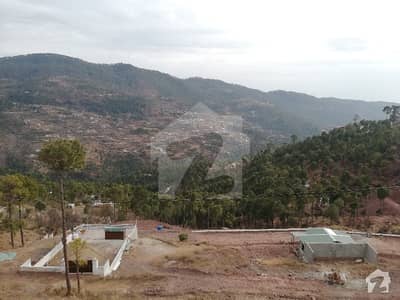 Residential Plots For Sale In Valley View Residency Main Expressway Cash Installments Residential Plots For Sale In Valley View Residency Main Expressway Cash Installments
