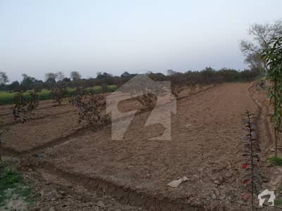 Agriculture Land  For Sale VIP Location